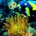 crinoid_jg_v_0705_png0807.jpg
